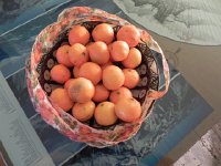 Nikon Coolpix 070  Clementine art